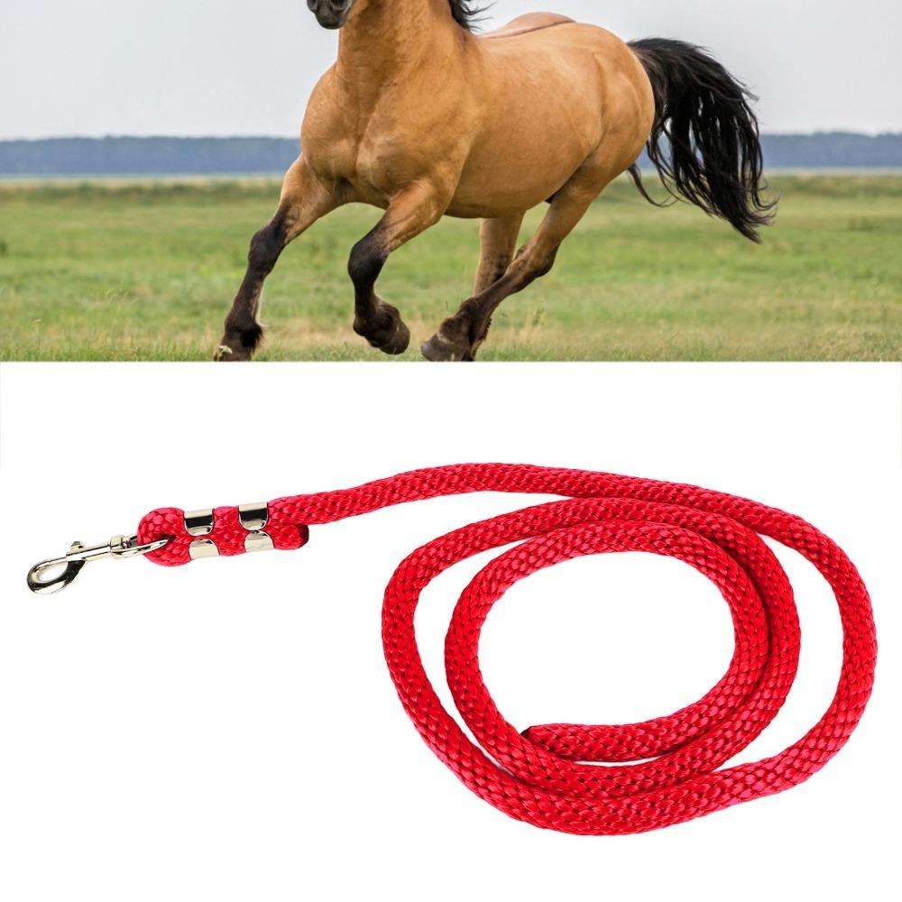 PP Horse Training Rope Heavy Duty Horse Web Lunge Line Durable Horse Lunge Line  Horse Walking