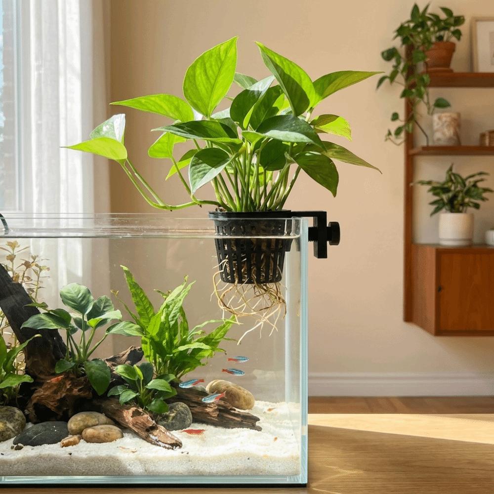 Top Hanging Fish Tank Greenery Holder Soilless Cultivation Aquarium Planter Cups Landscaping