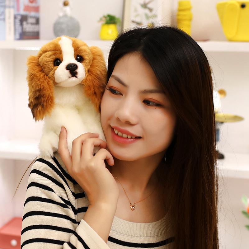 Kavalír King Charles španěl Plyšové hračky pro psy Měkké vycpané Simulační zvíře Roztomilé mazlíček Štěně Dětský spací polštář pro děti Dívky