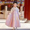 Girls' Winter Plush-Lined Hanfu Dress - Traditional Tang Suit Skirt for Autumn/Winter 2025 New Year