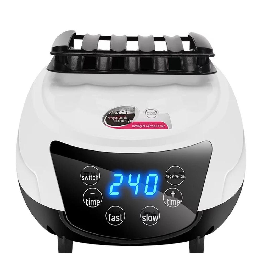 Household Shoe and Head Dryer Heater with Accessories