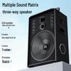 Newmine N528 15-inch Portable Trolley Bluetooth Speaker with Dual Mics (CN Version)