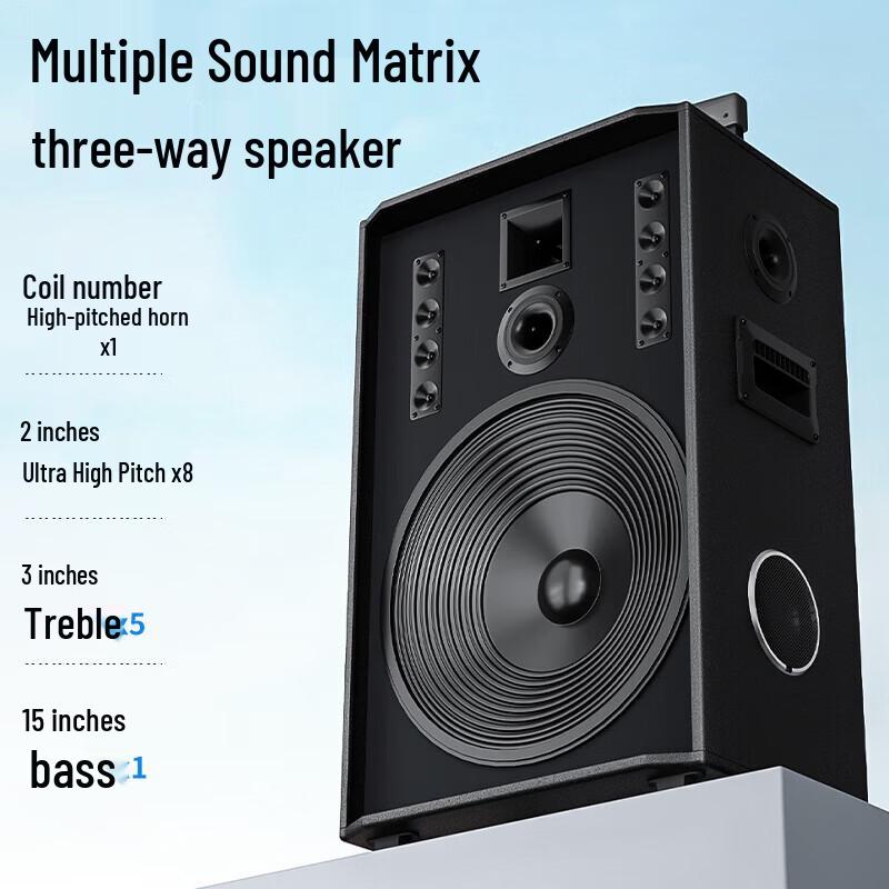 Newmine N528 15-inch Portable Trolley Bluetooth Speaker with Dual Mics (CN Version)