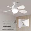 Oeny 5-Blade Minimalist Ceiling Fan with Light