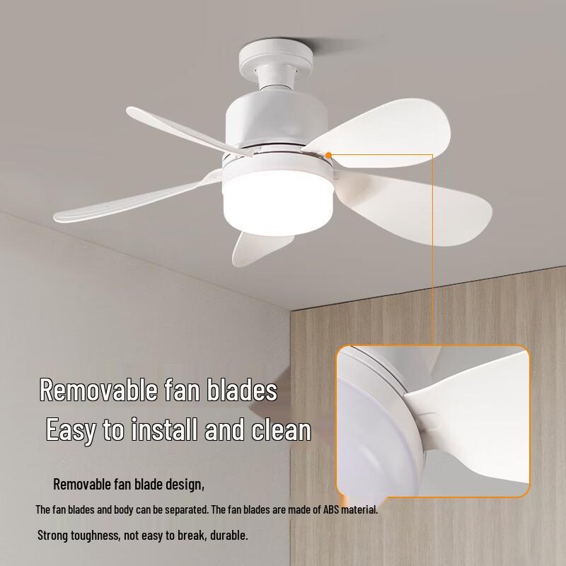 Oeny 5-Blade Minimalist Ceiling Fan with Light