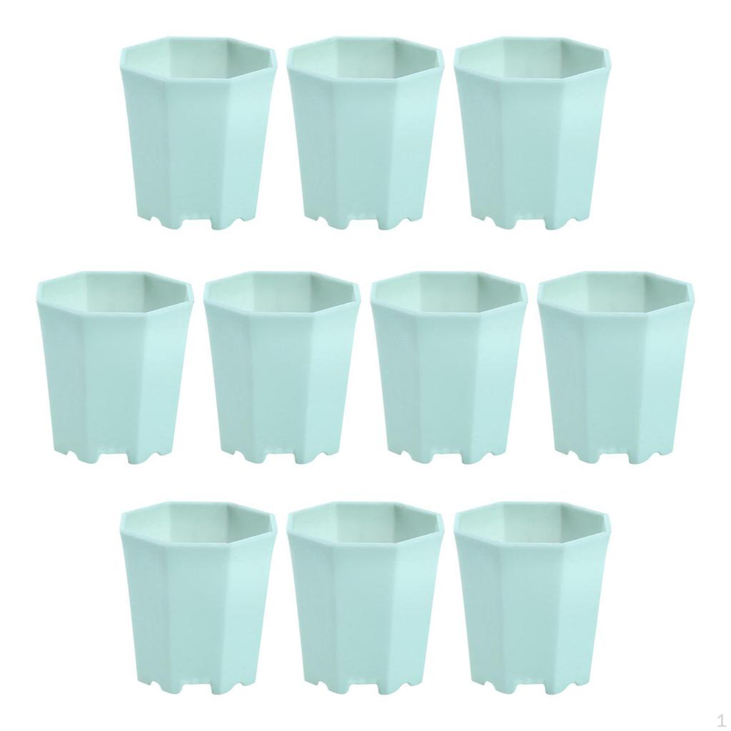 10 Pieces Nursery Pots Decorative Planter Plant Container Octagonal Flower Pot for Office