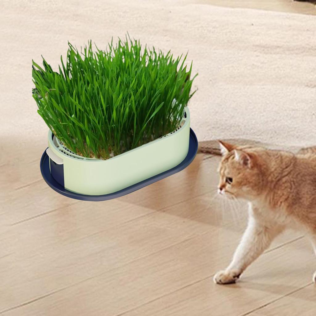 Cat Grass Germination Starter Planter Accessory Hydroponic Plant Sprout Dish