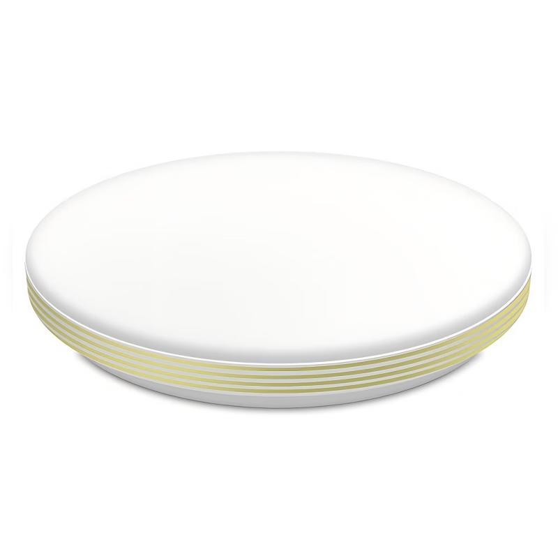 Leilangs LED Dimmable Round Ceiling Light