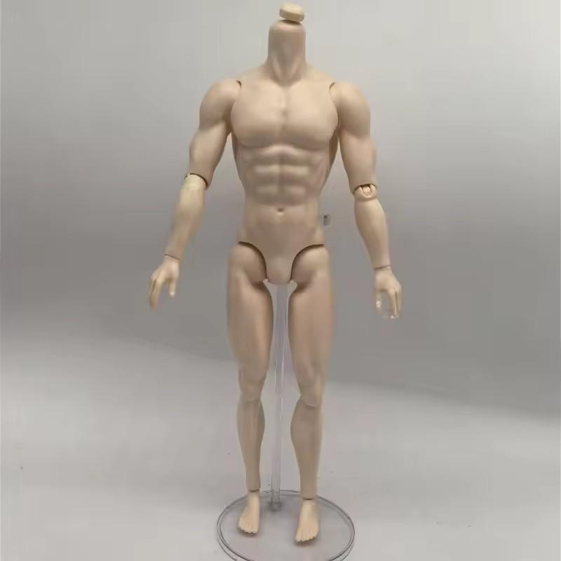 

30cm Male Sketch Doll s Movable Kun Body for 1/6 FR Doll With Normal Skin Doll Toys Anime Figure Accessories Draw Mannequin 30cm
