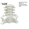 PLA Desk Storage Simulated Spine Pen Holder, Creative Skeleton Desktop Organizer, Durable Anatomical Decor 3D Printed Anatomy Ornament for Home Office