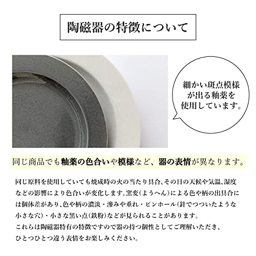 Dolce duo Curry Plates, Pasta Plates, Soup Plates, White and Ivory Rimmed Plates, Set of 4, Gift Idea, Solid Color, Made in Japan, DAM-249