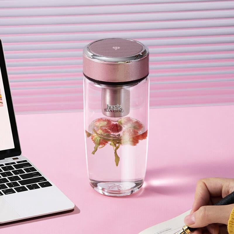 WANXIANG Portable Business Glass Tea Infuser Cup