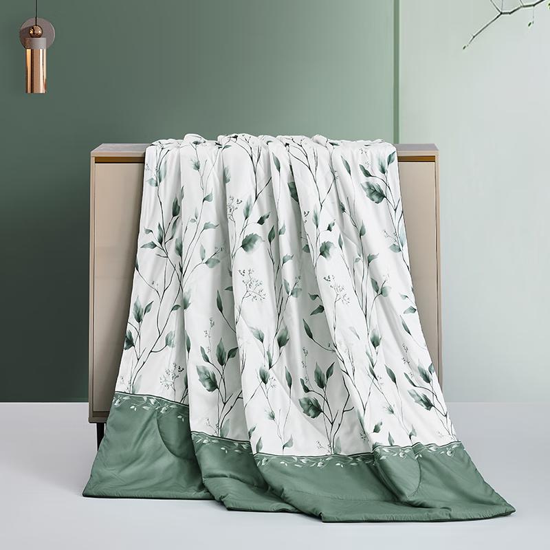 

Mengjie Washable Antibacterial Summer Quilt