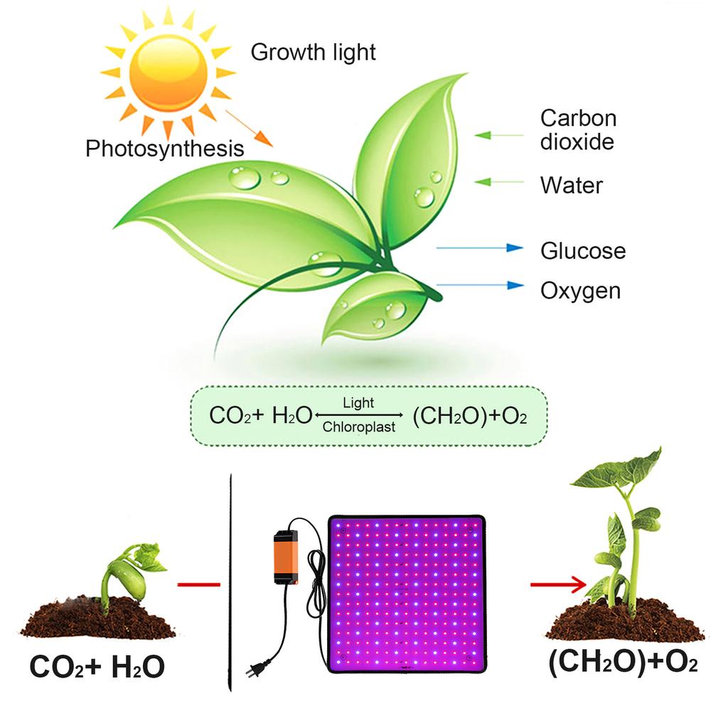 LED Grow Light US Standard Plug Full Spectrum Grow Lamp Indoor Succulent Growing Light Hanging Seedling Lamp for Seedling 2025