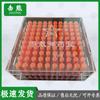 Jixiong Transparent Ammunition & Parts Storage Box