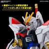 HG Mobile Suit Gundam SEED FREEDOM Mighty Strike Freedom Gundam 1/144 Scale Color-coded Plastic Model