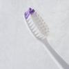 2080 Toothpaste Toothbrush Portable Set