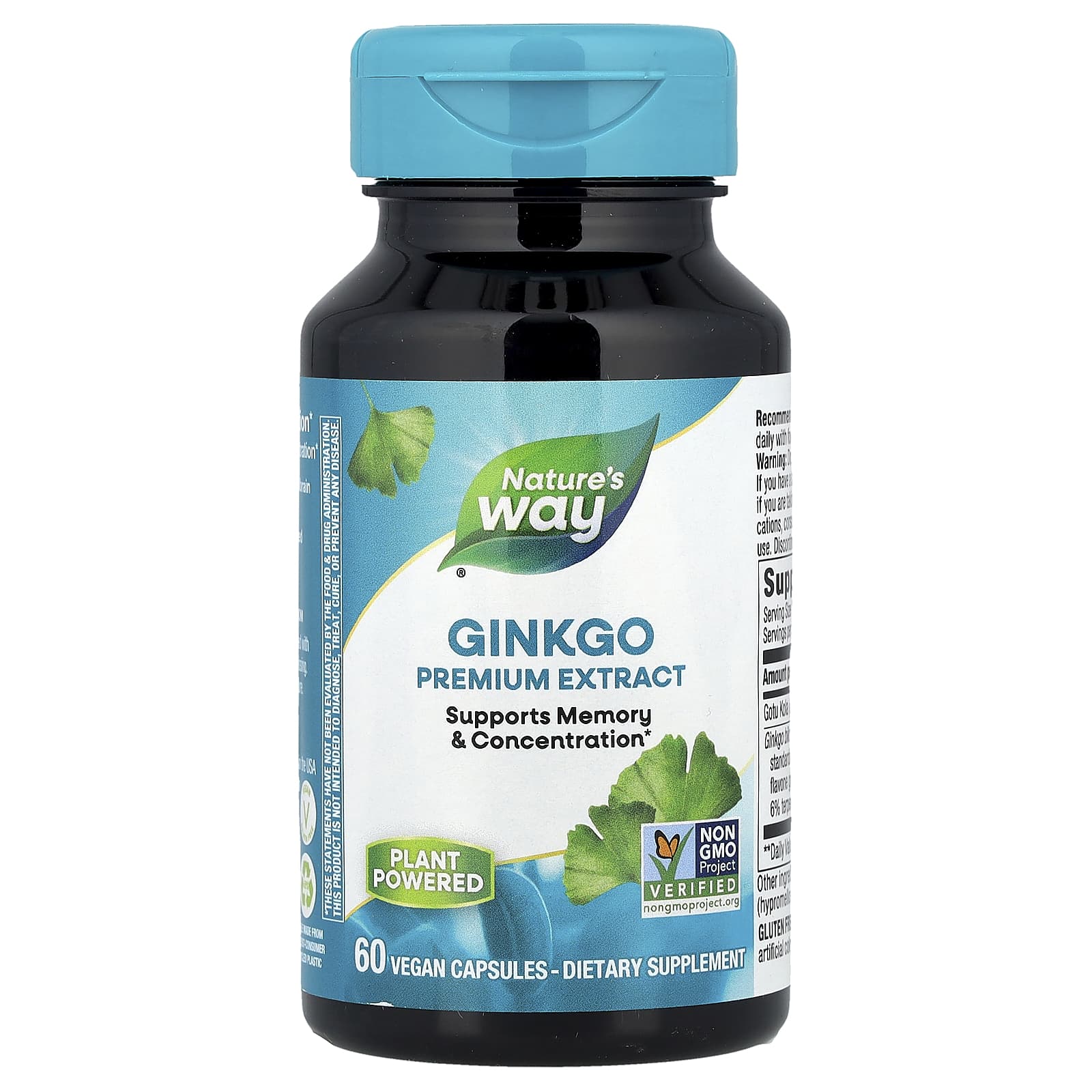 

Nature S Way, Premium Extract, Ginkgo Biloba, 60 Veggie Caps