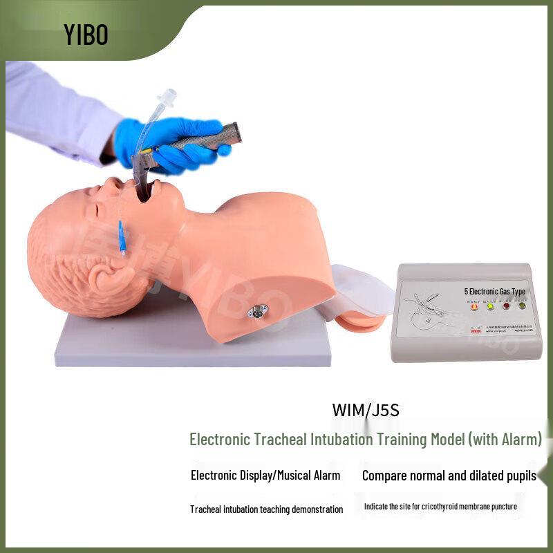 WIM/J5S Advanced Adult Electronic Tracheal Intubation Training Model