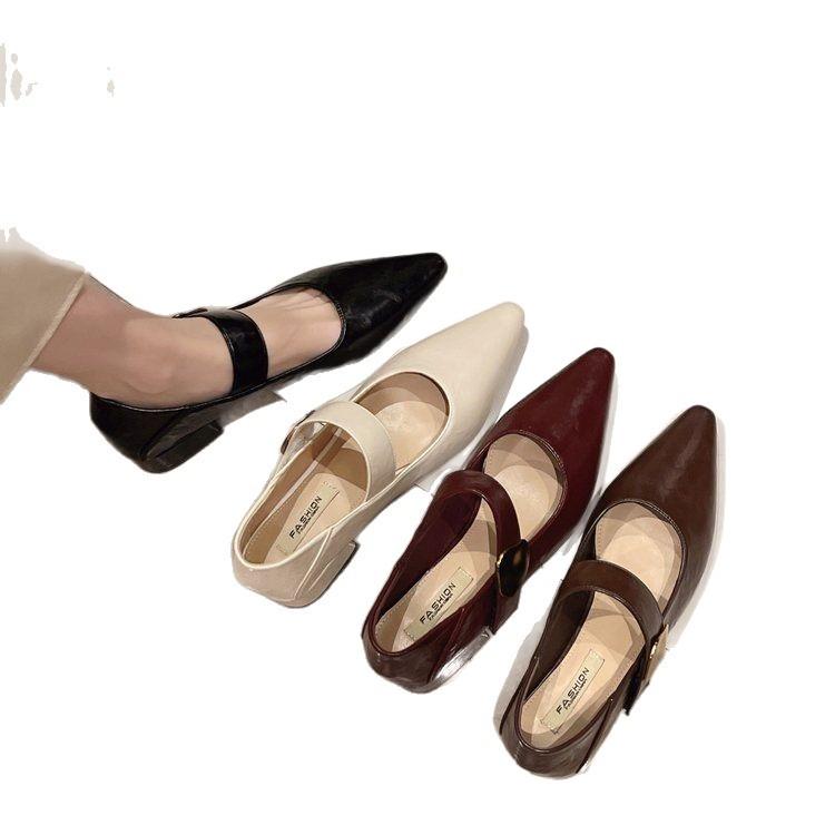Pointed head shallow mouth single shoes women's middle heel 2025 new spring and autumn French temperament thick heel Mary Jane shoes retro small le