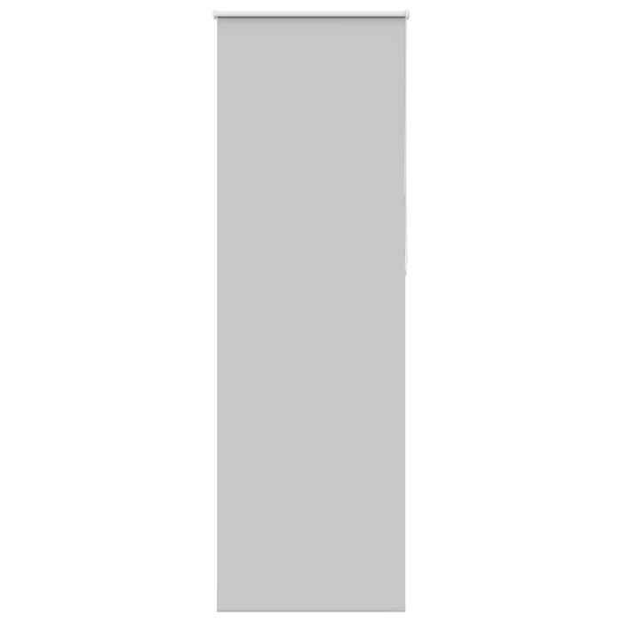 VidaXL Blackout Roller Blind Fabric Width 65.7 Cm Polyester, Day and Night Blind, Kitchen Blind, Blind 4011434