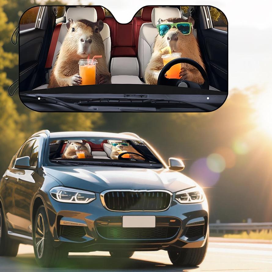 Universal Foldable Car Windshield Sun Visor for Heat and Sun Protection