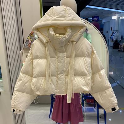 Nuevo Abrigo de Algodón de Invierno para Mujer, Diseño Corto Estilo Coreano, Abrigo de Algodón Holgado, Chaqueta de Algodón Engrosada para Personas Bajas