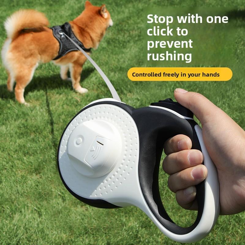 Automatic Pet Scalability Traction Rope With Nylon Material For Outdoor Trip And