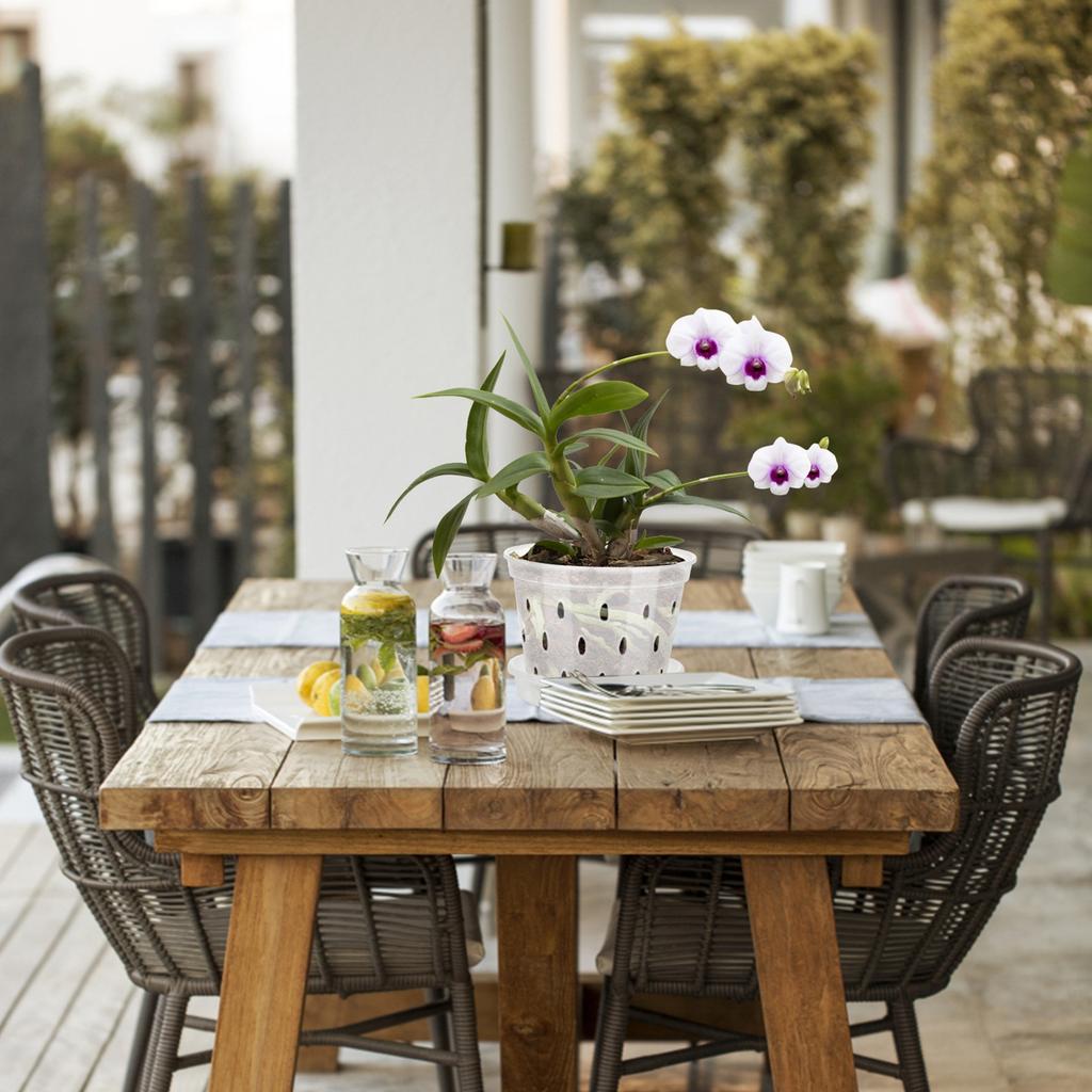 Orchid Flower Pot Breathable Clear Orchid Planting Pot with Holes for Indoor Outdoor