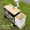 Zhi Shi Collapsible Outdoor Folding Camping Cart