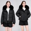 New short cotton clothes women's winter slim fashion thickened fur collar thickened warm jacket