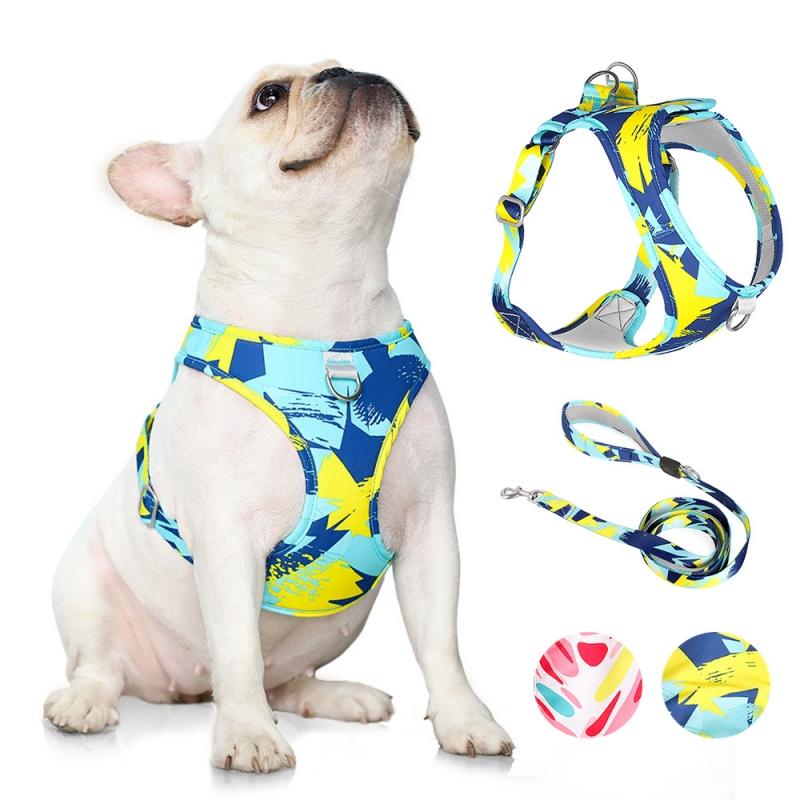 

Dog Leash Harness Set, Thick Mesh Liner Handle, High Tenacity, Soft Sublimation Pet Leash for Running, Small and Large Dog L