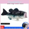 Japonicus Lateolabrax Kids Marine Life Figurine Model Toy For Learning And Decor