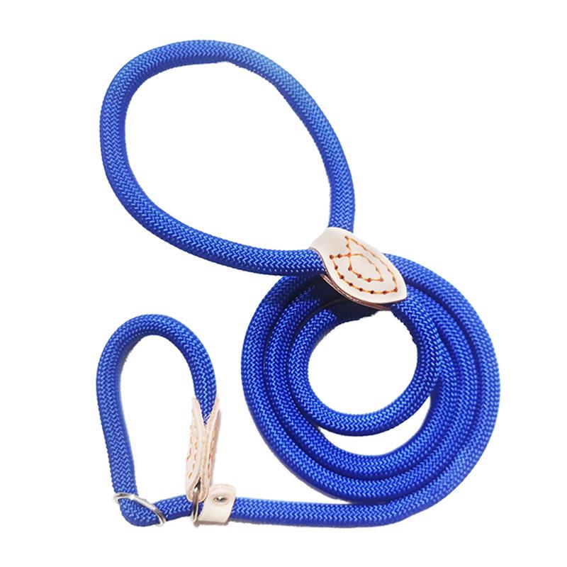 Competition-Grade Anti-Surge P-Chain Dog Leash for Training and Walking - Suitable for Small, Medium, and Large Dogs