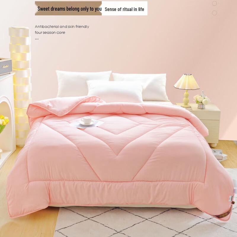 Cozy All-Season Antibacterial Polyester Duvet Insert
