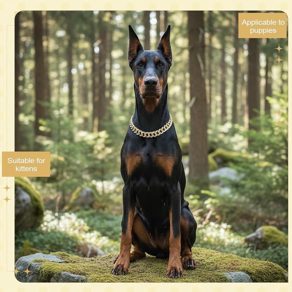Tallew Dog Chain Diamond Collar Gold 16 Mm Wide Walking Metal Chain Necklace with Secure Buckle Pet Cuban Style Collar Jewelry Accessories for Small