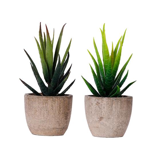 Fake Succulent Bonsai Nice-looking Ornamental Realistic Mini Artificial Succulent Plant Fake Flower Bonsai for Living Room