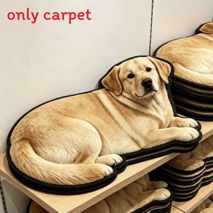 Realistic Bathroom Mat Non Slip Absorbent Silicone Daze For Home And Bathroom Use