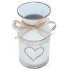 Vase Unique Heartshaped and Rope Design Galvanized Iron Vase for Indoor Outdoor Home Office