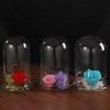 Fresh-keeping Micro Landscape Bottle Dust-proof Transparent Glass Cover  Bedroom