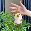 Quirky Creative Capybara Plush Toy Keychain Fun Backpack Decoration Gift Cute