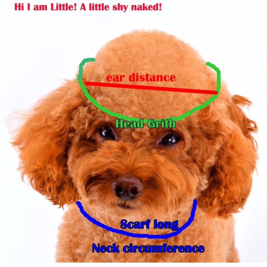 Accesorii pentru cățeluși de iarnă pentru animale de companie, pălării cu dungi tricotate, eșarfă șosete, animale mici, mici, mari, produse pentru pisici Yorkshire Chihuahua