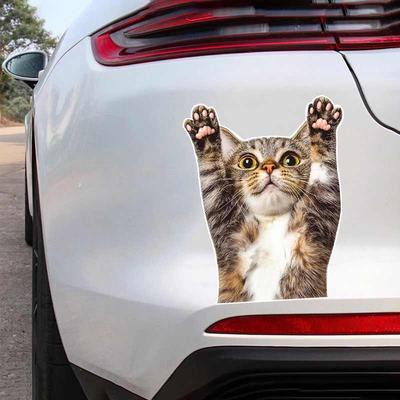 Lustige Katze Tier Autoaufkleber Cartoon Wasserdicht Styling Automobile Motorrad Außen Zubehör Vinyl Aufkleber Y211