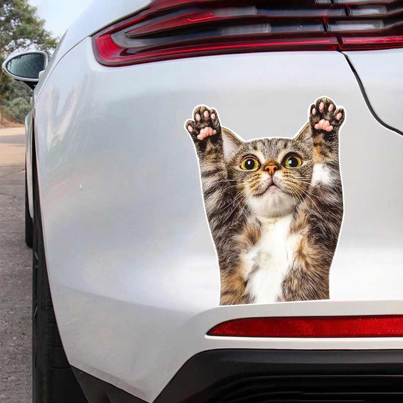 Funny Cat Animal Car Sticker Cartoon Waterproof Styling Automobiles Motorcycle Exterior Accessories Vinyl Decals Y211