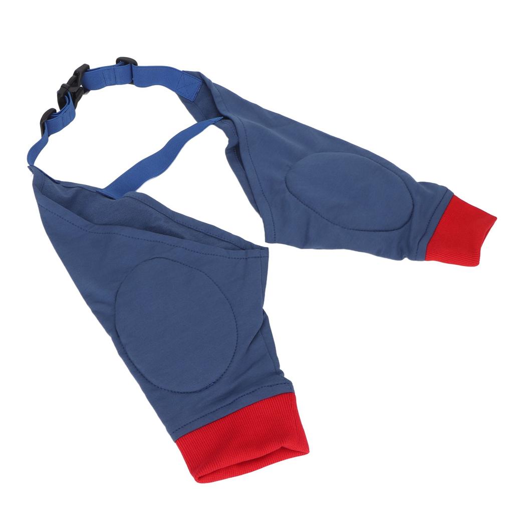 Dog Front Leg Braces Soft Padded Elastic Breathable Joint Protection Dog Recovery Sleeve Red Blue L