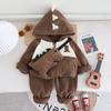 Boys' Fleece Hooded Jacket & Pants Set - Korean Style Winter Fashion