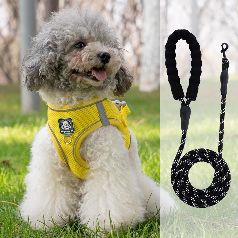 Vest-Style Harness and Leash Set for Small Dogs: Bichon, Teddy, Pomeranian