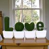 3D Printed Cactus Green Plant Ornament - Creative Home Decoration Craft