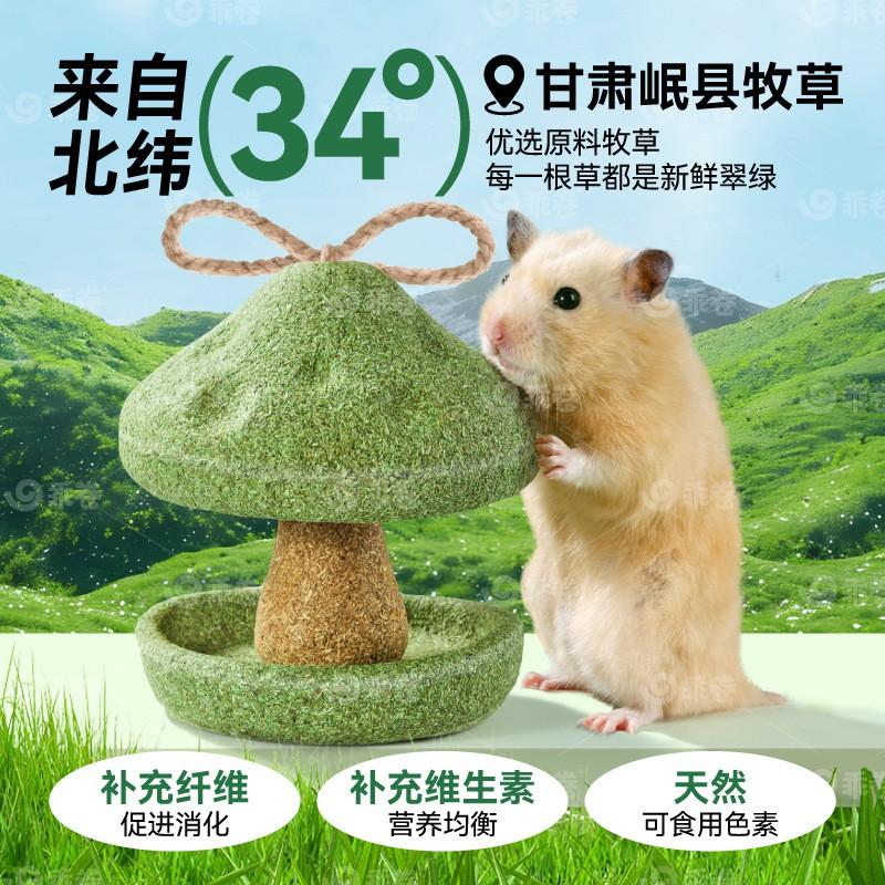 Natural Wooden Chew Stick Hamsters Gerbils - Safe Edible Dental Treat With Tree Branch Design