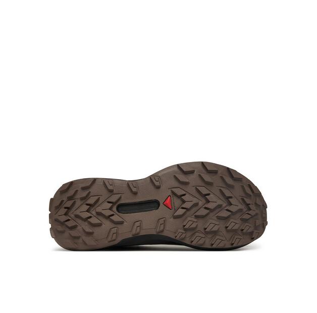 Кроссовки для бега Salomon Genesis Gore-Tex